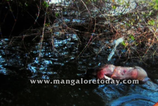 Decomposed body found in sea 4